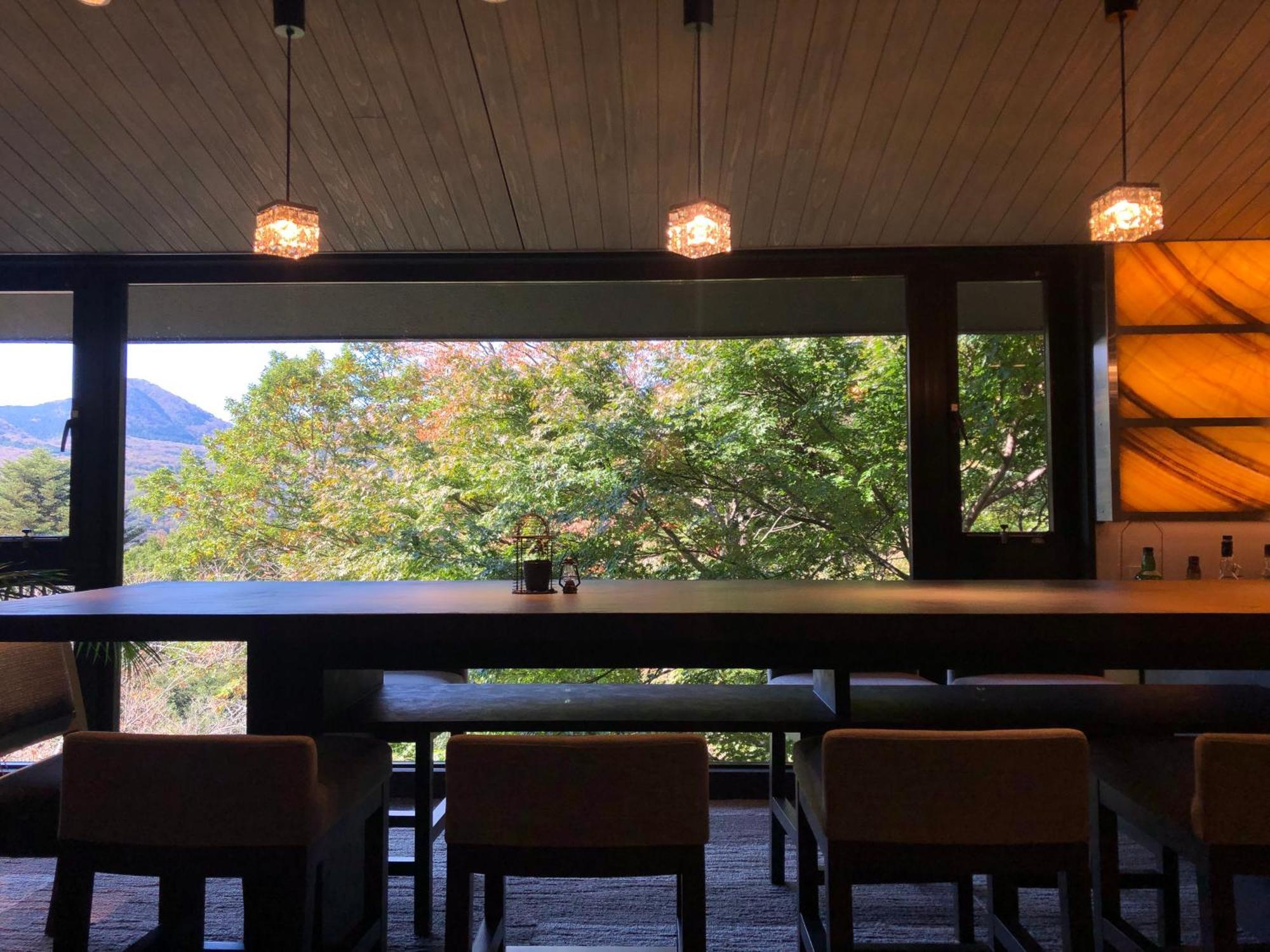 Hakone Elecasa Hotel And Spa المظهر الخارجي الصورة